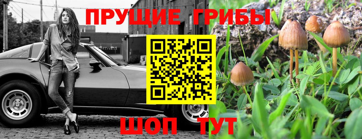 Псилоцибиновые грибы Psilocybine cubensis Кыштым